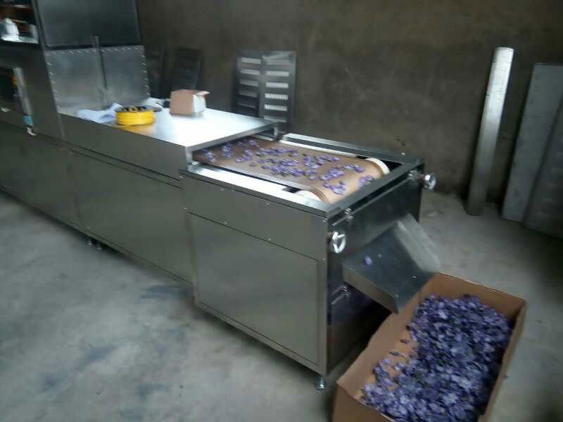 金銀花成人看片免费殺青幹燥設備